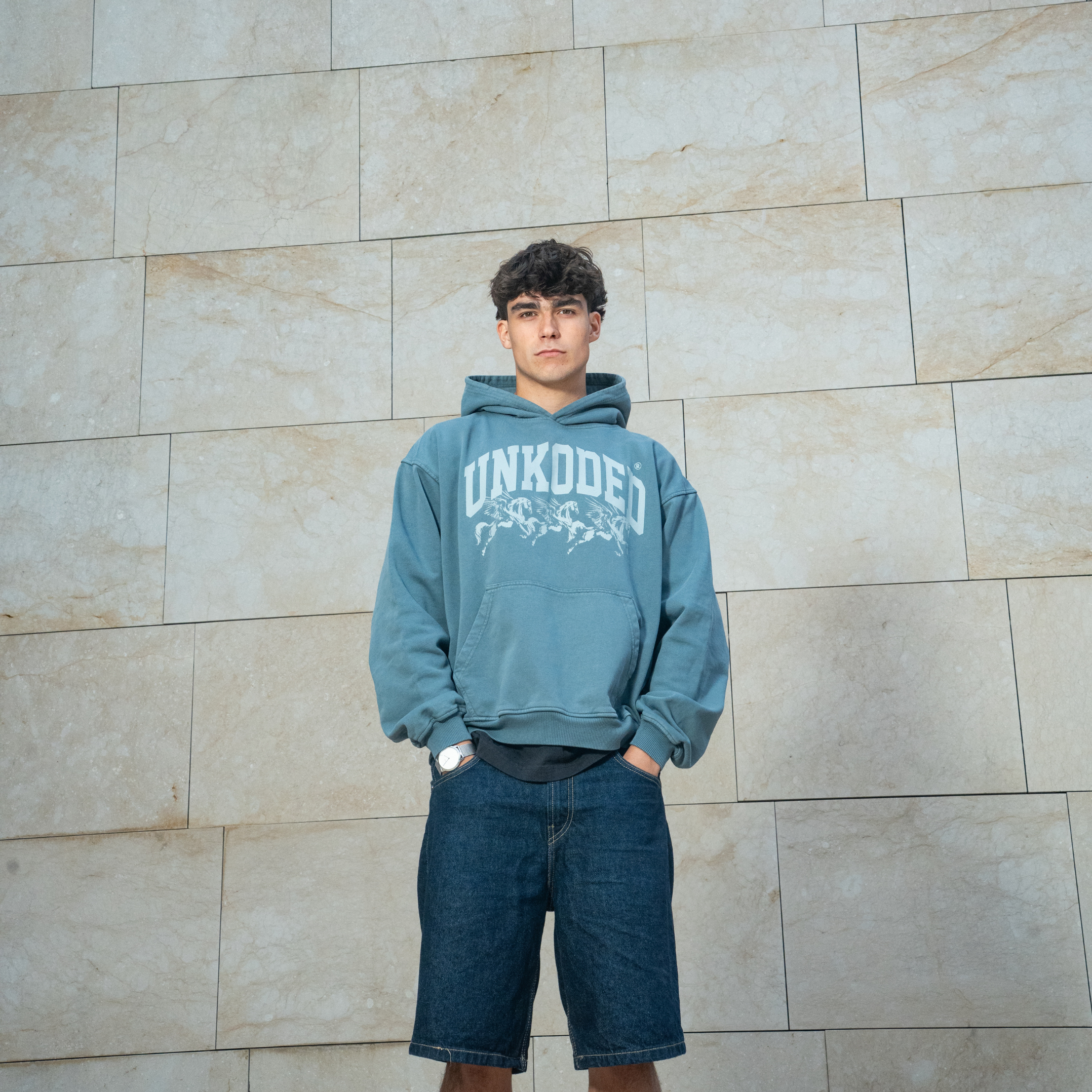GREY PEGASUS HOODIE